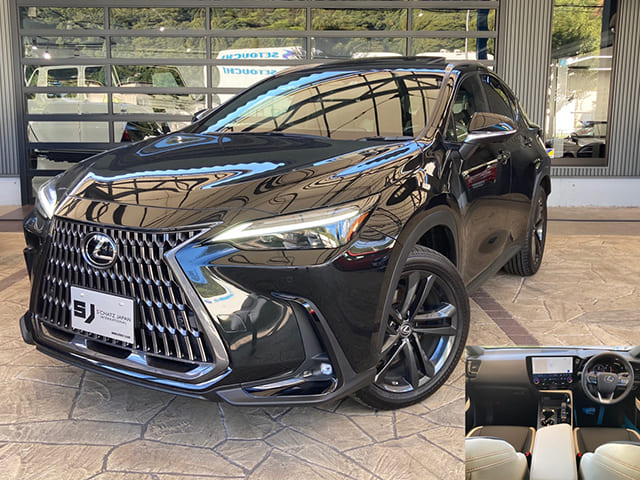 LEXUS NX250バージョンL